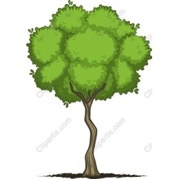 Vibrant Cartoon Tree