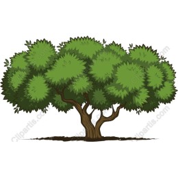 Lush Green Tree