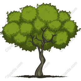 Stylized Lush Green Tree