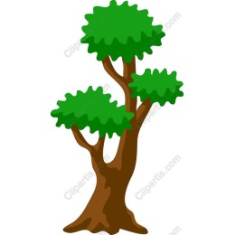 Vibrant Lush Green Tree