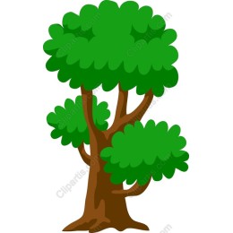 Lush Green Tree for Creative