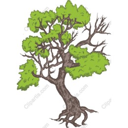 Eco-Friendly Tree
