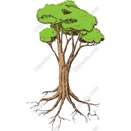 Lush Green Tree