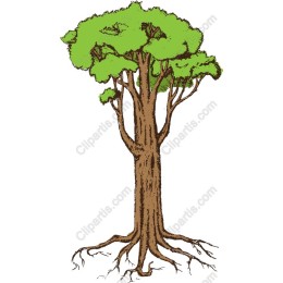 Majestic Tree