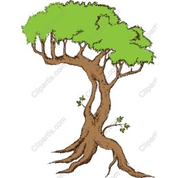 Elegant Tree
