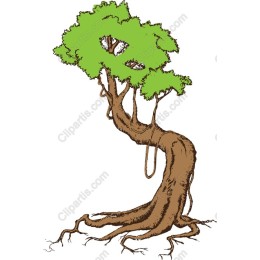 Majestic Tree