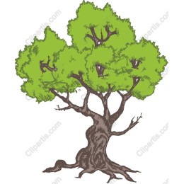 Elegant Green Tree