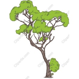 Stylized Lush Tree