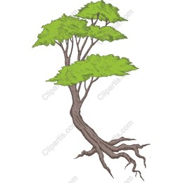Stylized Tree