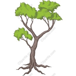 Majestic Tree