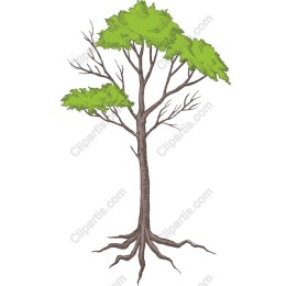 Elegant Tree