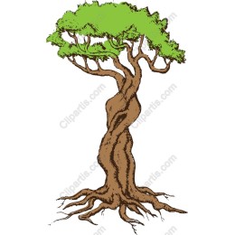 Majestic Tree