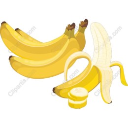 Vibrant Banana