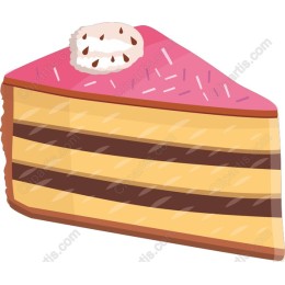 Colorful Cake Slice