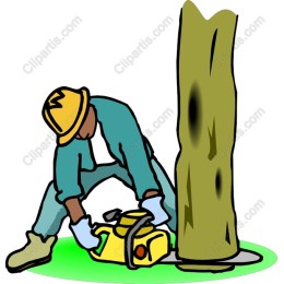 Lumberjack in Action - Chainsaw