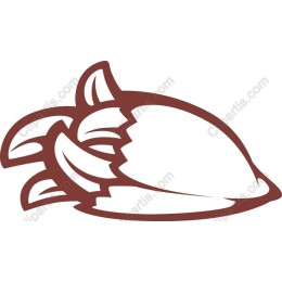 Stylish Shell