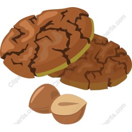 Freshly Baked Cookie & Nut