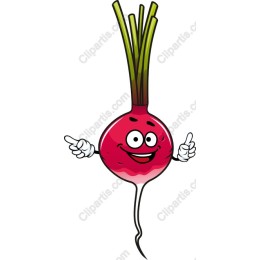 Cheerful Cartoon Radish