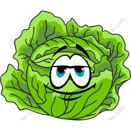 Cheerful Cabbage