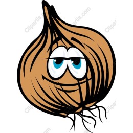 Cartoon Onion