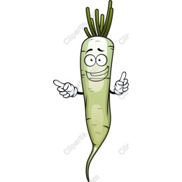 Cartoon Radish Character