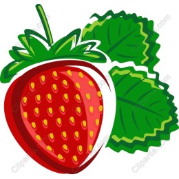 Vibrant Strawberry