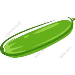 Fresh Green Cucumber