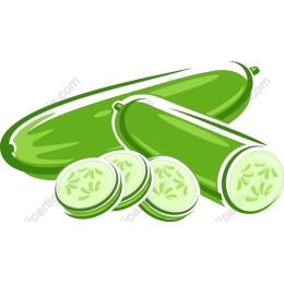 Fresh Zucchini