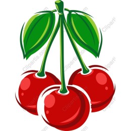 Vibrant Cherry