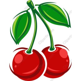 Vibrant Cherry