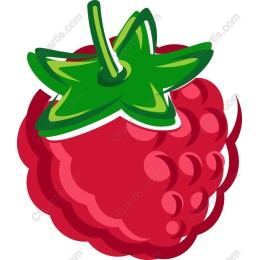 Vibrant Raspberry
