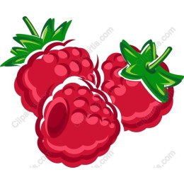 Raspberry Delight