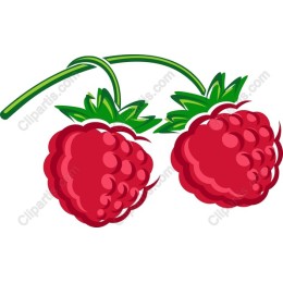 Raspberry Delight