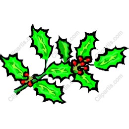 Festive Holly