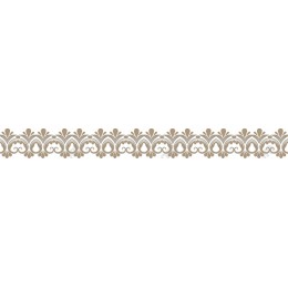 Elegant Ornate Floral Border