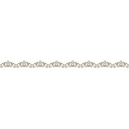 Elegant Decorative Border