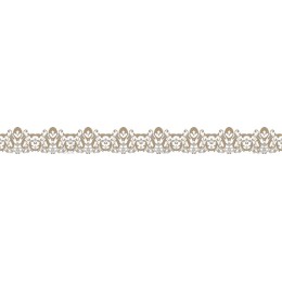 Elegant Vintage Ornamental Border