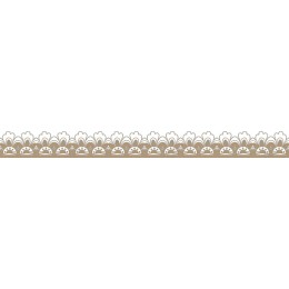 Delicate Ornamental