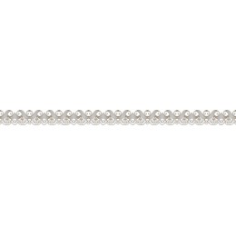 Elegant Ornate Decorative Border