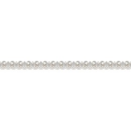 Elegant Abstract Decorative Border