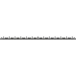 Elegant Decorative Border