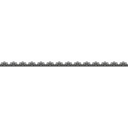 Elegant Floral Border