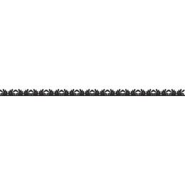 Elegant Foliage
