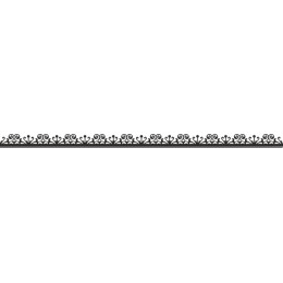 Elegant Ornate Border