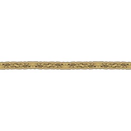 Elegant Decorative Border