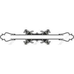 Elegant Ornate Frame