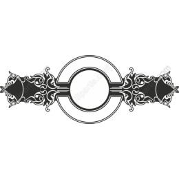 Elegant Ornamental Frame