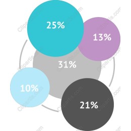 Vibrant Data Percentage Infographic