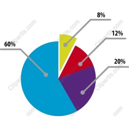 Vibrant Pie Chart