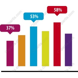 Colorful Percentage Bar Chart